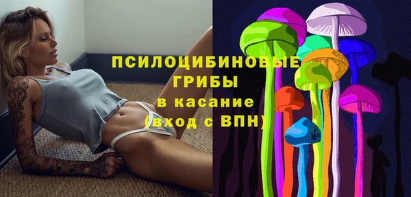 MDMA Premium VHQ Вяземский